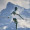 Avatar Silfar