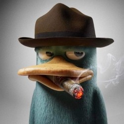 avatar MrPolopolo