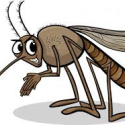 avatar Zanzarasulsoffitto