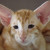 Roby6671 Avatar Roby6671