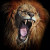 lion64 Avatar lion64