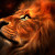Avatar LoLion