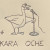 Avatar Adriatico