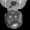 Avatar Dummy