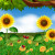 MissWally Avatar MissWally