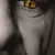 Stereo67 Avatar Stereo67
