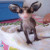 Opossumstanco Avatar Opossumstanco