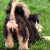 ANNASPA Avatar ANNASPA