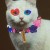 HarleyCat Avatar HarleyCat