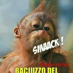 avatar Ruttolibero