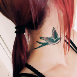 avatar Aryell