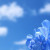 respironelvento Avatar respironelvento