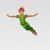 Peterpank Avatar Peterpank