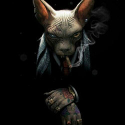 avatar Don