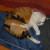Maxmari Avatar Maxmari
