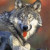Wolf81 Avatar Wolf81