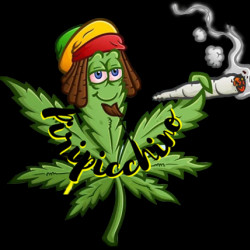 avatar piripicchino