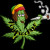 Avatar piripicchino