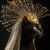 Lilla Avatar Lilla