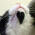 QUOREDG Avatar QUOREDG