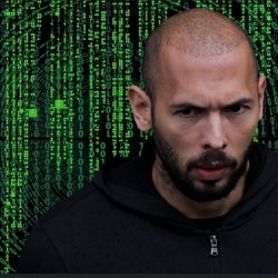 avatar Ilpalt